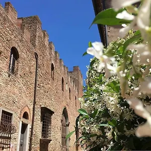 Apartment Palazzo Stiozzi Ridolfi